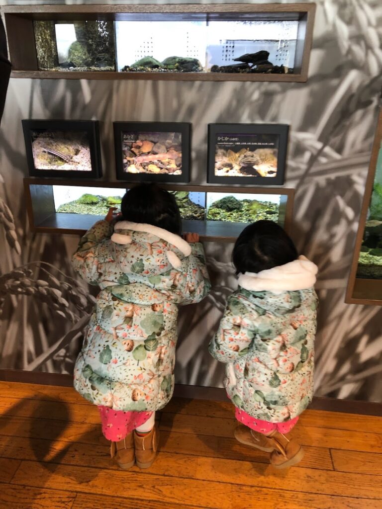 daughters in kyoto aquarium
