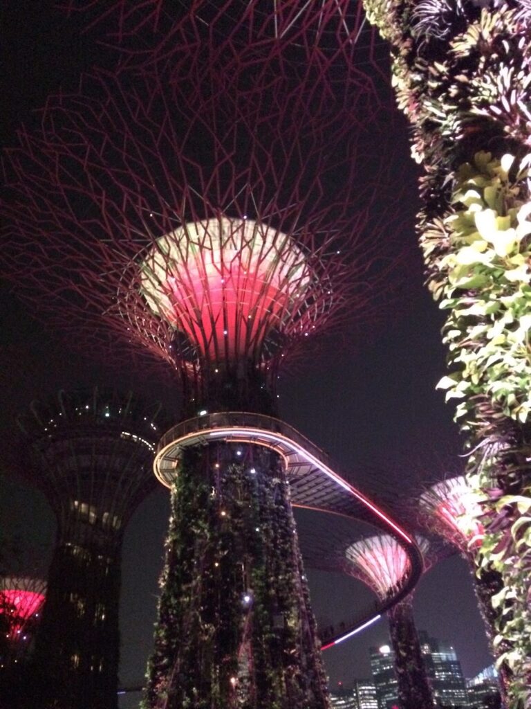 gardens by the bay2