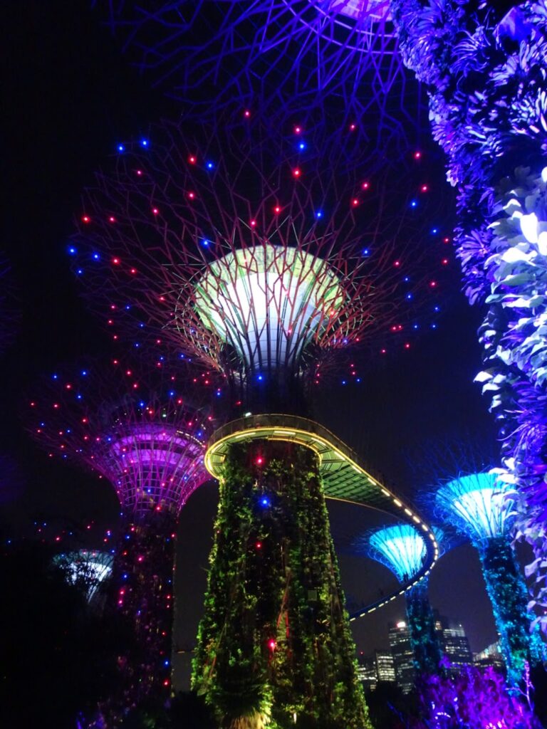 gardens by the bay1