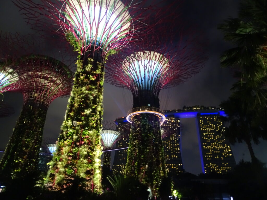 gardens by the bay4