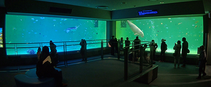 鳥羽水族館