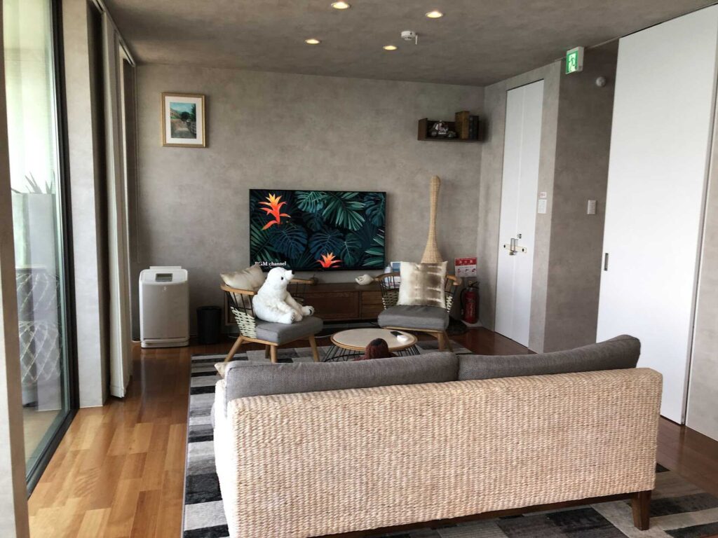 living room2