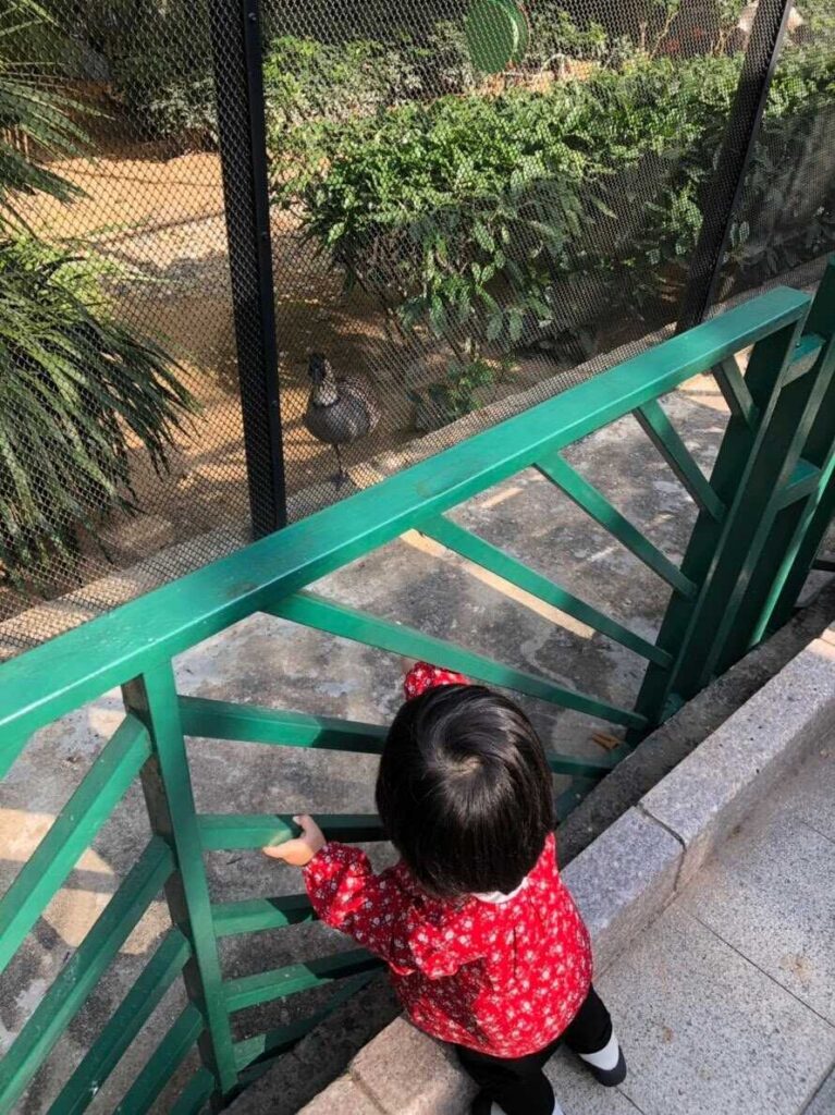 香港動植物公園3
