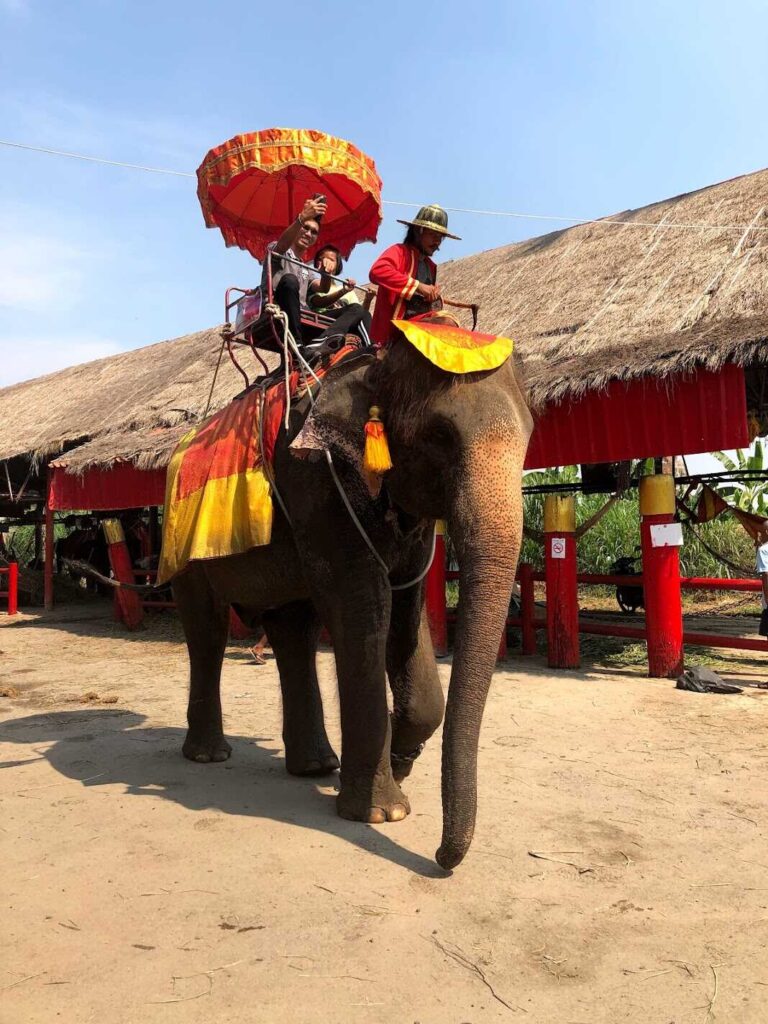 Ayutthaya1