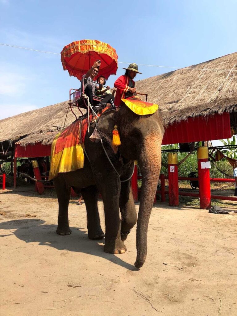 Ayutthaya１