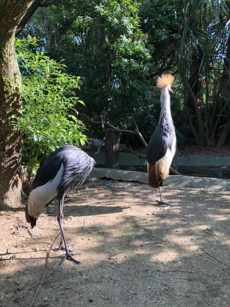 ふれあい2