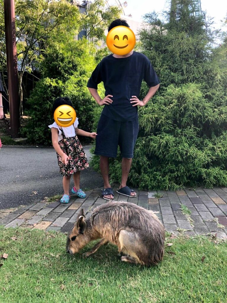 ふれあい1