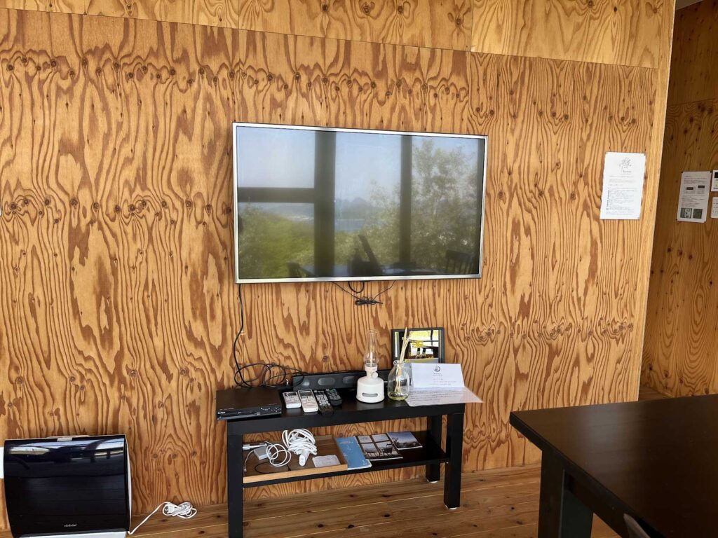 living room3