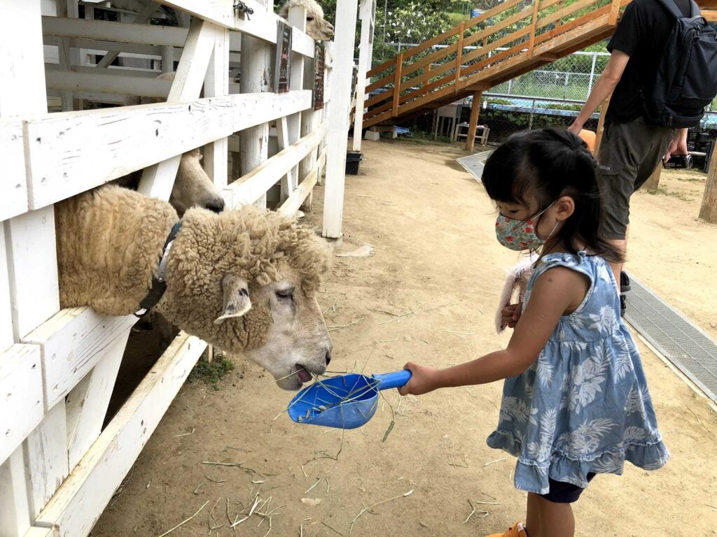 のじま動物園３