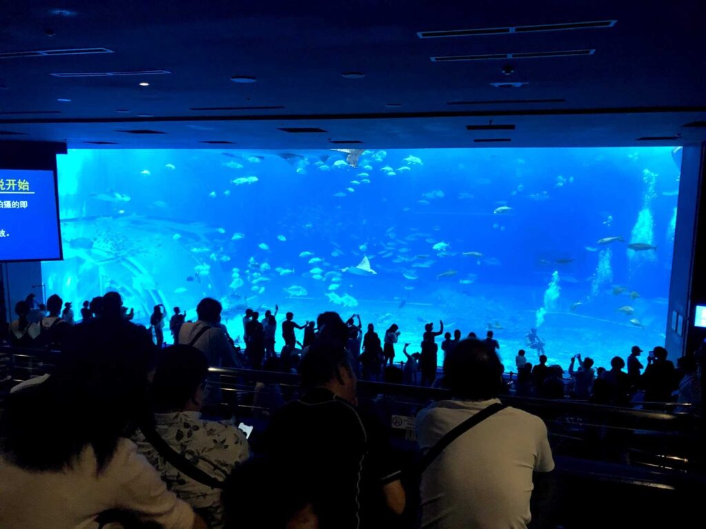 美ら海水族館2