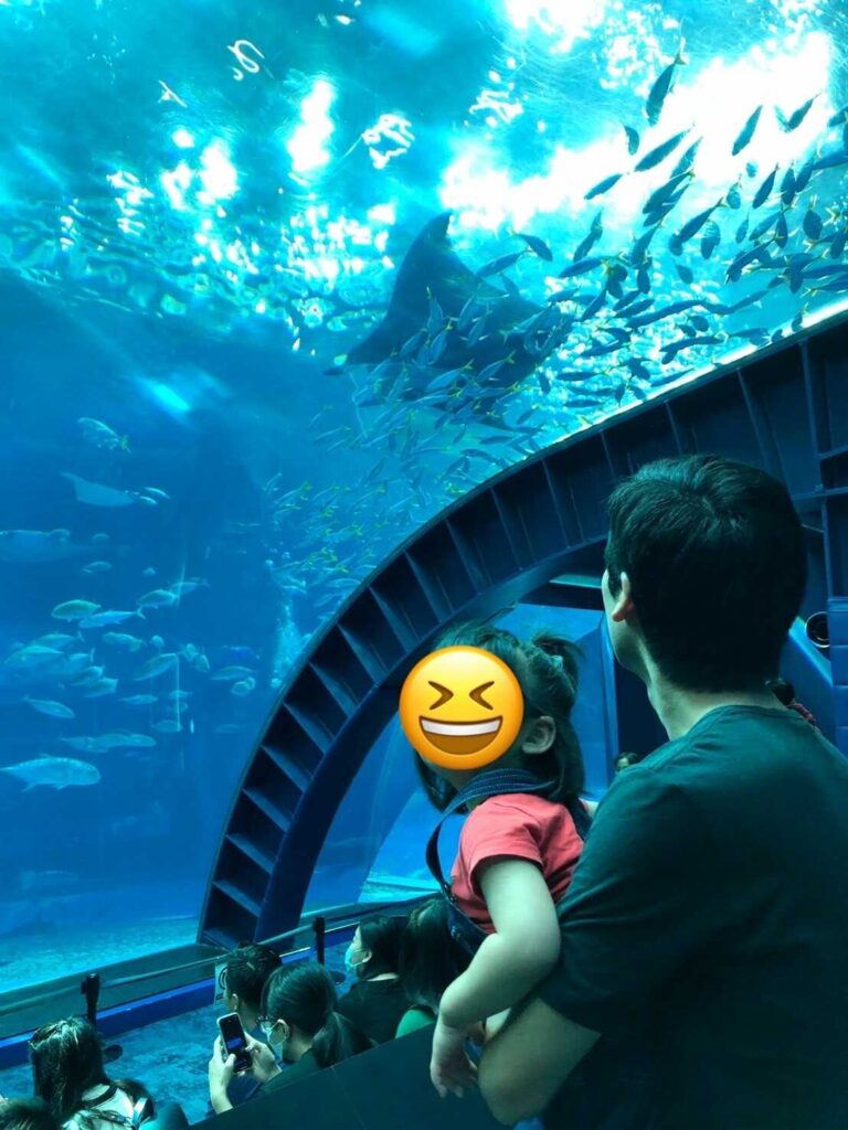 美ら海水族館3