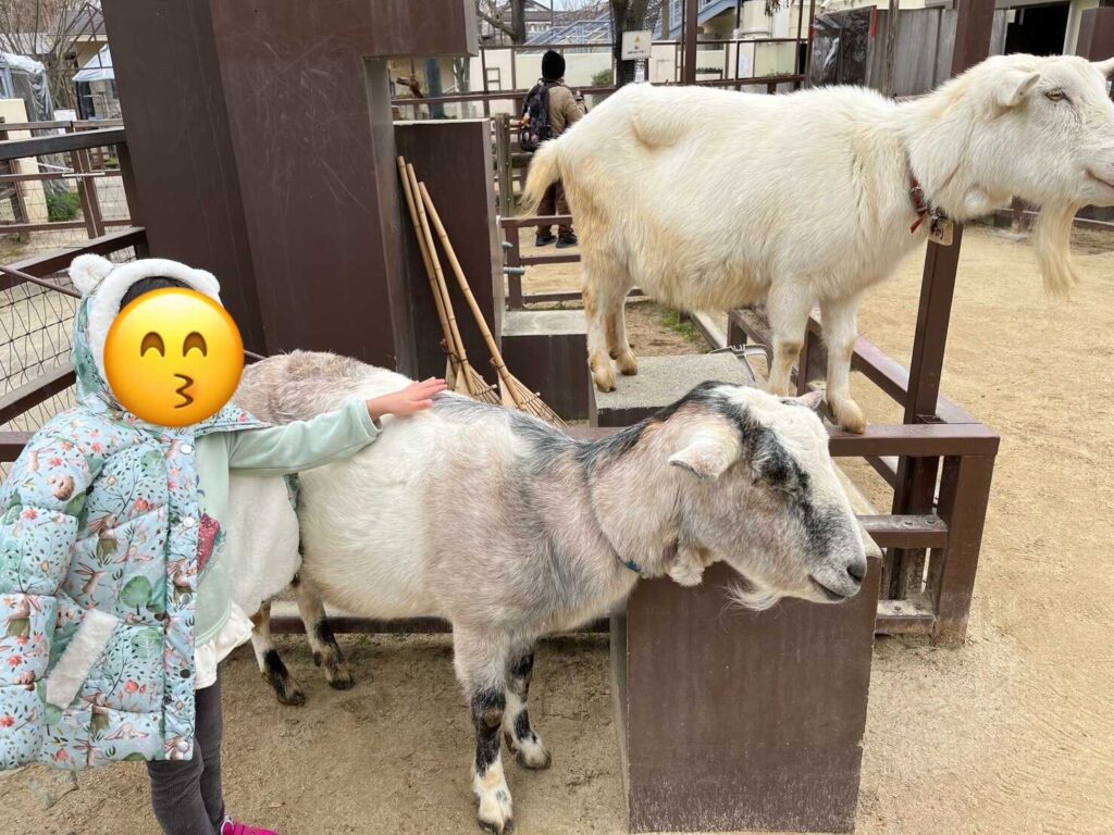 ふれあい2
