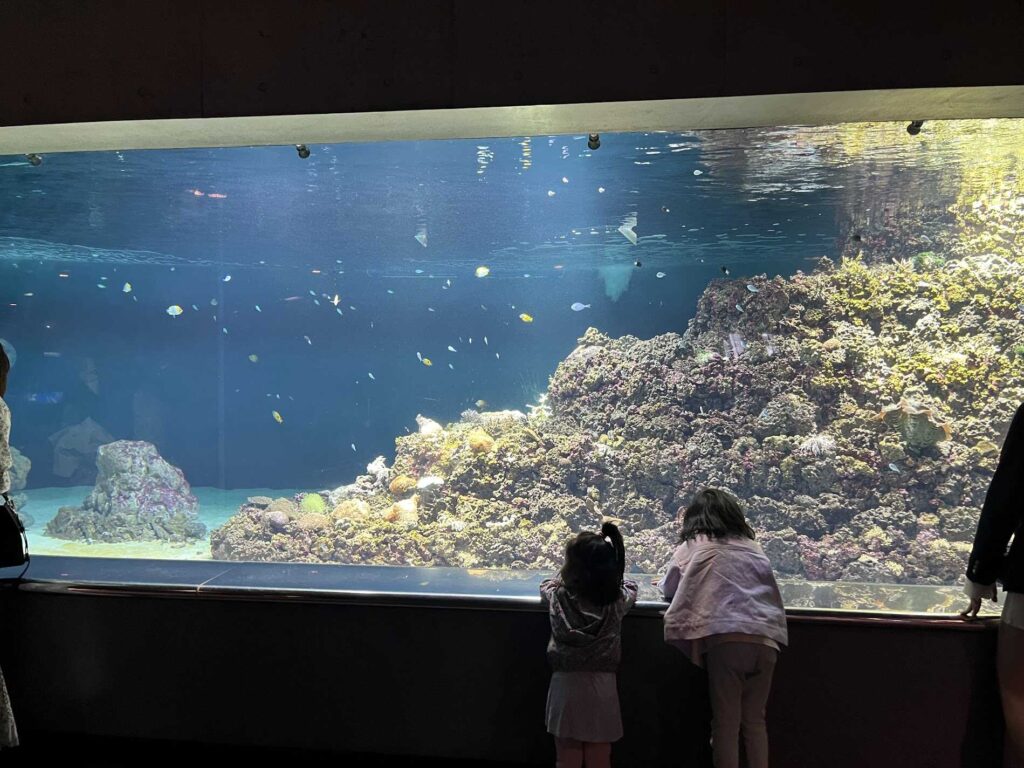 室内水槽1