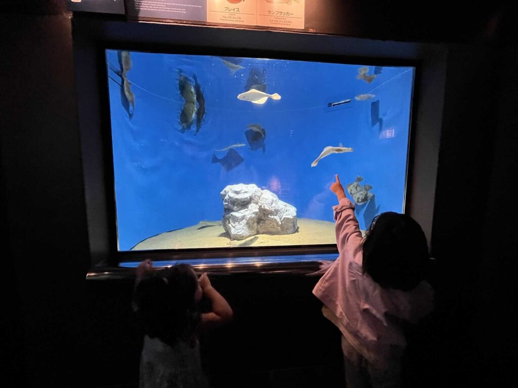 室内水槽3
