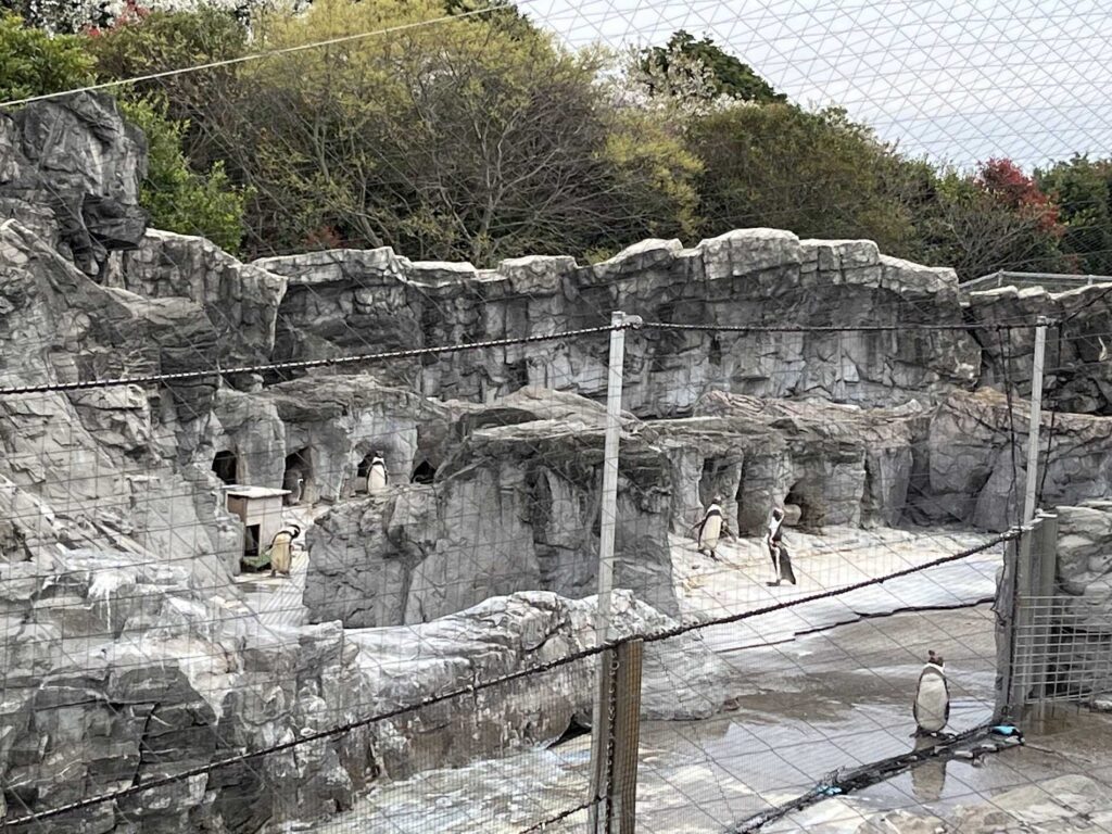 ペンギン2