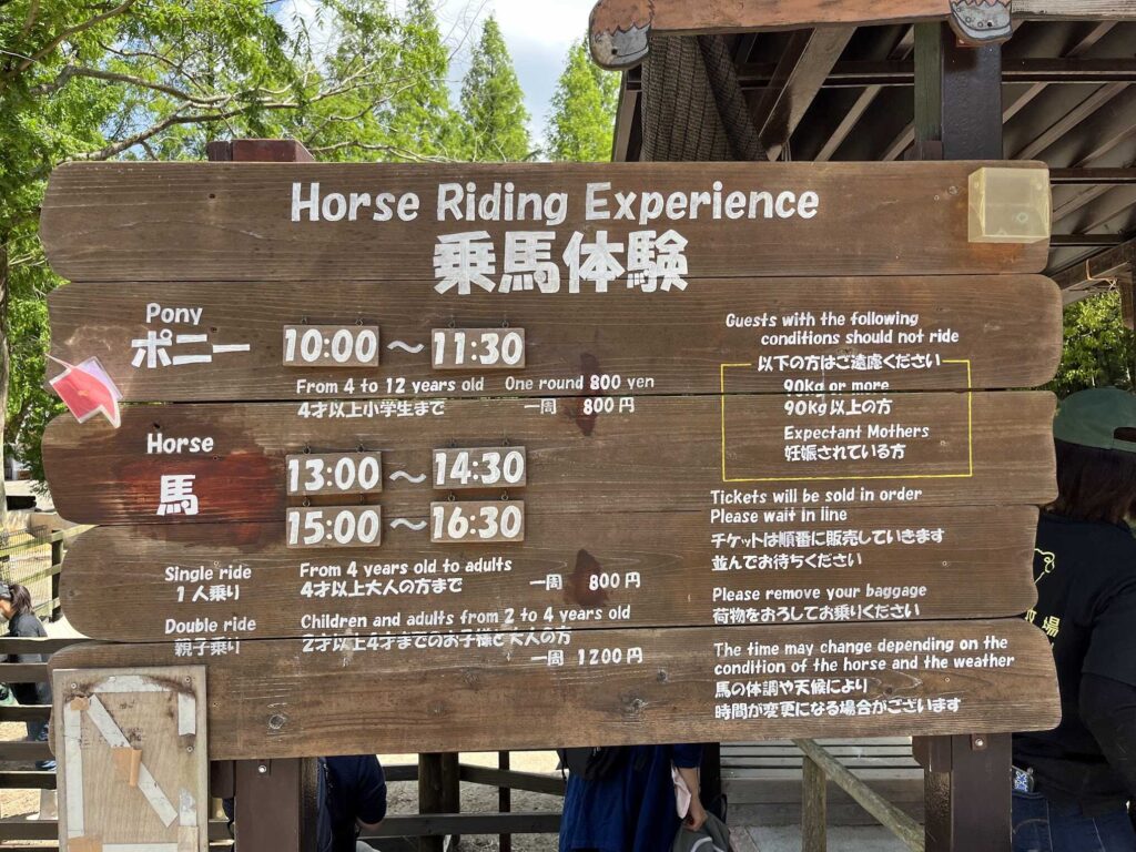 hourse ride1