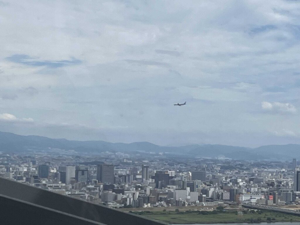 view from the escalator